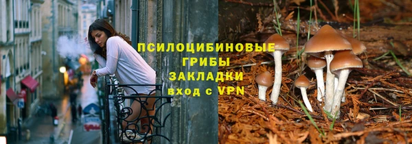 ГАЛЛЮЦИНОГЕННЫЕ ГРИБЫ Армянск